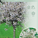 Prunus incisa 'Kojou-no-mai' 60 cm stam 5,0L