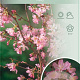 Prunus nipponica 'Ruby' 120 cm stam 7,5L