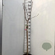 Prunus ser. 'Royal Burgundy' 90 cm stam 7,5L
