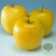 Malus d. 'Golden Delicious' hoogstam 20L