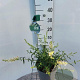 Buddleja Free Petite Snow White 30-40 cm 3,0L