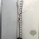 Prunus ser. 'Royal Burgundy' 90 cm stam 7,5L