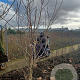 Magnolia denudata Yellow River 300 cm met kluit