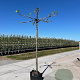 Platanus hispanica 18-20 HO cont. 110L dakvorm 150 250 cm stam
