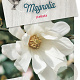 Magnolia stellata 40-50 cm 5,0L