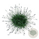 Lavandula int. Phenomenal 40-50 cm 15L