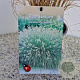 Pennisetum al. 'Hameln' 60-70 cm 2,5L
