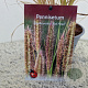 Pennisetum al. 'Redhead' 50-60 cm 2,5L