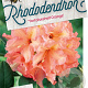 Rhododendron 'Tortoiseshell Orange' 30-40 cm 5,0L