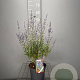Perovskia atripl. 'Little Spire' 30-40 cm 3,0L