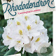 Rhododendron 'Cunningham's White' 80-100 cm cont. 80L