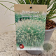 Pennisetum al. 'Hameln' 40-50 cm 2,5L