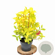 Weigela florida Jean's Gold 25-30 cm 3,0L
