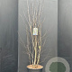 Amelanchier ovalis 175-200 cm 20L