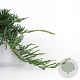 Juniperus horizontalis 'Wiltonii' 25-30 cm 3,5L