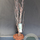 Frangula alnus Fine Line 60-80 cm 5,0L