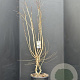 Heptacodium miconioides 125-150 cm 20L