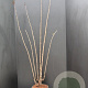 Sambucus nigra Black Tower 100-125 cm 10L