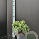 Pinus mugo 'Mops' 30-40 cm 7,5L
