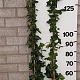 Hedera hibernica 150-175 cm 2,0L 3-4 tak