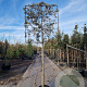 Quercus ilex 170 cm stam container 18-20