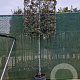 Quercus ilex 170 cm stam container 18-20