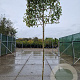Photinia fraseri 'Red Robin' 220 cm stam container 10-12 lei 120x120