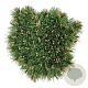 Pinus mugo 'Mops' 30-40 cm 15L