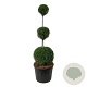 Thuja occ. 'Smaragd' 150-175 cm cont. 90L trio bol