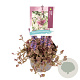 Ajuga reptans 'Burgundy Glow' GM 2,0L