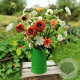Op de vaas (plukbloemen mix) Innogreen 100 gram