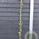 Lonicera jap. 'Hall's Prolific' 150-175 cm vierkant rond 5,5L