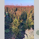 Thuja pl. 'Martin' 80-100 cm met kluit
