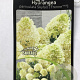 Hydrangea pan. Skyfall 60 cm stam 5,0L
