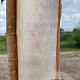 Betula albosin. 'Fascination' 10-12 HO draadkluit