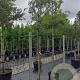 Sorbus 'Dodong' 12-14 HO container