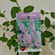 Ceanothus del. 'Gloire de Versaille 40-45 cm 2,5L