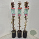 Parthenocissus tr. 'Veitchii' 70-75 cm 2,0L