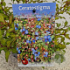 Ceratostigma willm. Forest Blue 35-40 cm 2,5L