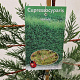Cupressocyparis leylandii 100-110 cm 3,0L