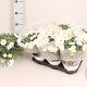 Struikmargriet Klein White 25 cm P14