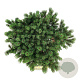 Hedera hel. 'Woerner' 120x180 Mobilane vanaf 35 st
