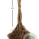 Fraxinus excelsior 60-100 cm wortelgoed 1/1