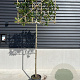 Photinia fraseri 'Red Robin' 6-8 HO container 180 cm stam lei geschikt
