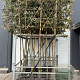 Quercus ilex 8-10 HO container 180 cm stam lei 120x140