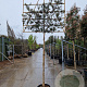 Quercus ilex 10-12 cm container LEIVORM 200 cm stam