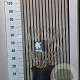 Hydrangea pan. Skyfall 60-70 cm 7,5L