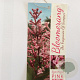 Syringa 'Pink Perfume' 60 cm stam 5,0L