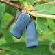 Lonicera caerulea 30-50 cm wortelgoed 2-jarig verplante stekken 2-3 tak