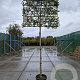 Photinia fraseri 'Red Robin' 200 cm stam container 14-16 hoge lei